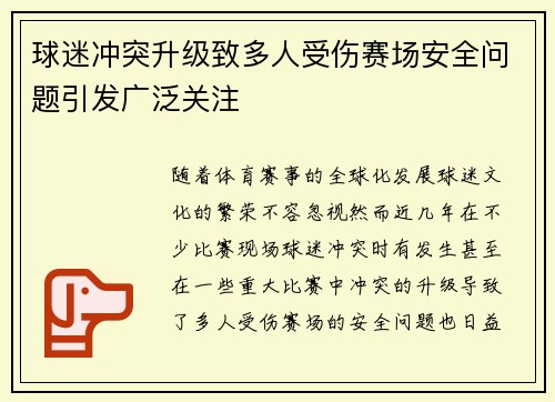 球迷冲突升级致多人受伤赛场安全问题引发广泛关注
